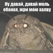 моль ебаная